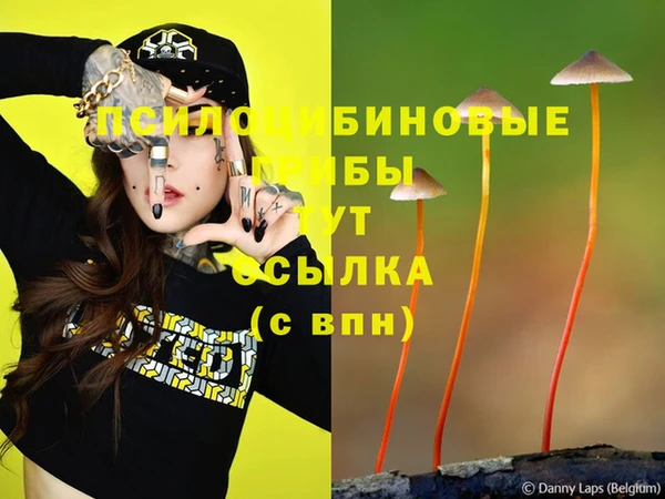 меф Алексин