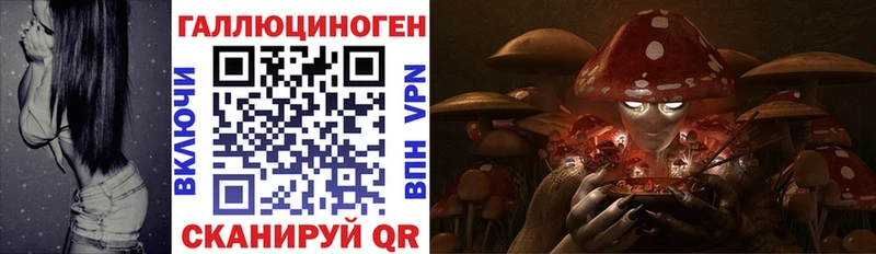 Галлюциногенные грибы прущие грибы  Купить где  Череповец 